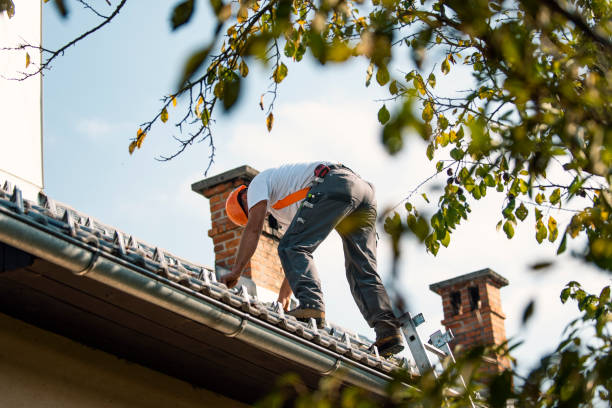 Best Roof Replacement Cost  in Ellinwood, KS