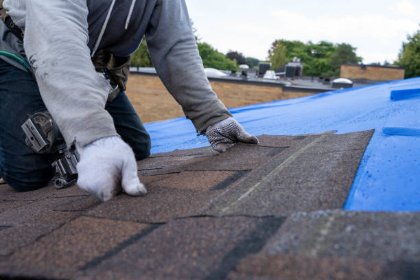 Best Local Roofing Companies  in Ellinwood, KS
