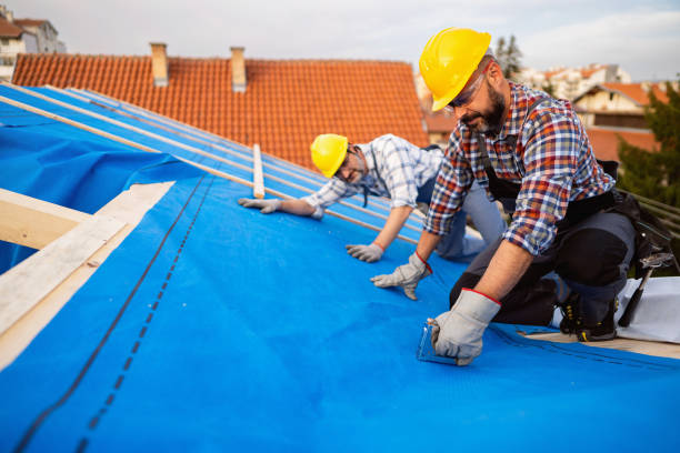 Best Flat Roof Repair Services  in Ellinwood, KS